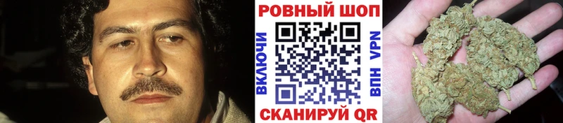 Где купить наркоту Славгород Псилоцибиновые грибы  COCAIN  Мефедрон  A PVP  Каннабис  ГАШ 