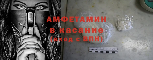 стаф Аркадак