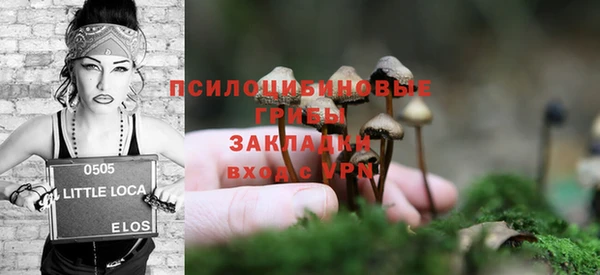 стаф Аркадак