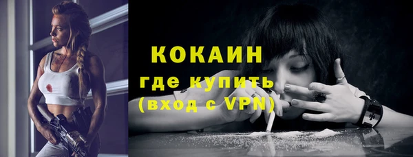 стаф Аркадак