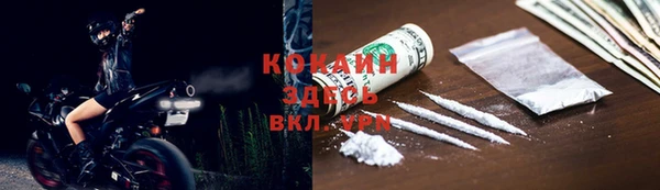 стаф Аркадак
