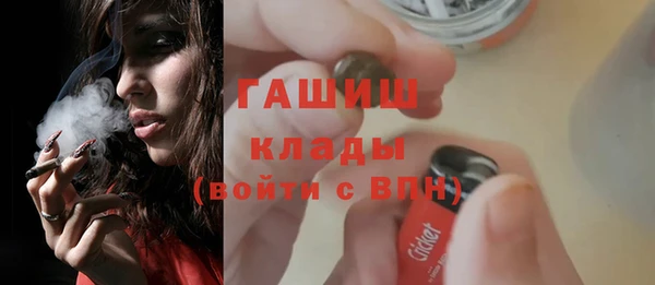 стаф Аркадак