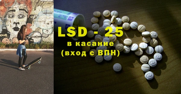 стаф Аркадак