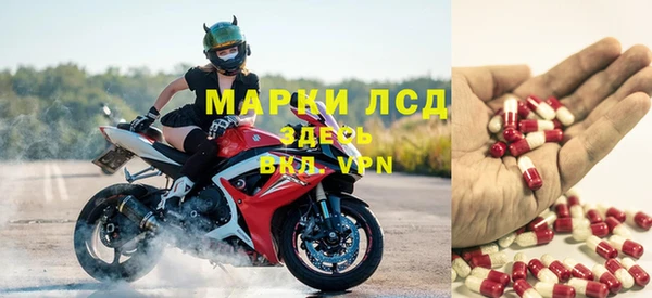 стаф Аркадак
